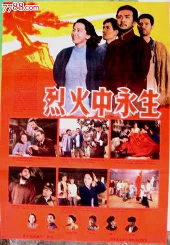 办假的北领地两个内部领地驾驶证